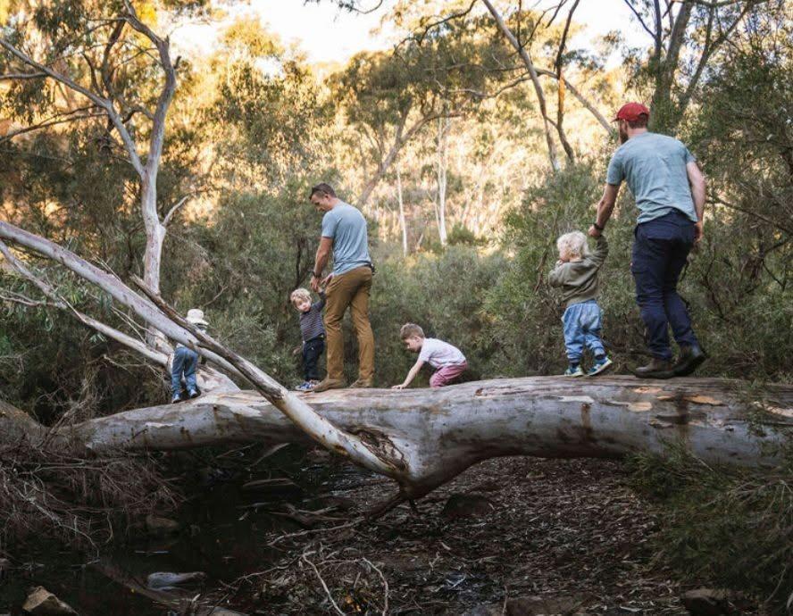 Two fathers and four young children making their way along a huge fallen gum tree above a creek, surrounded by bush.