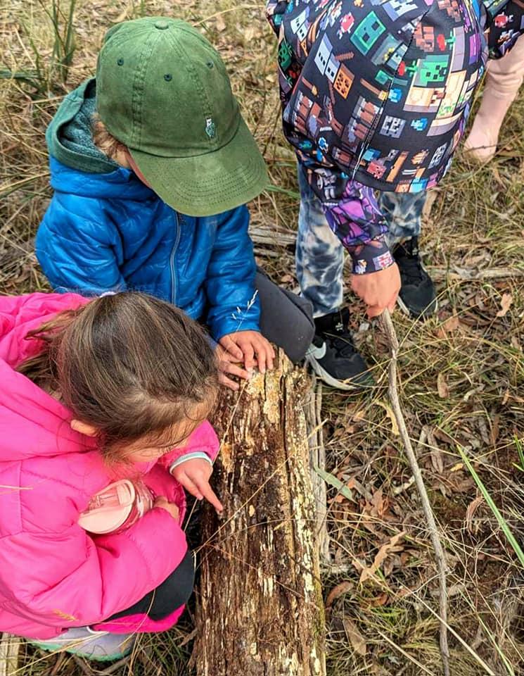 Three children in warm jackets crouched around a fallen log, pointing at bracket fungus growing along its side.